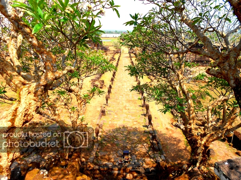 DSCN6816-1.jpg