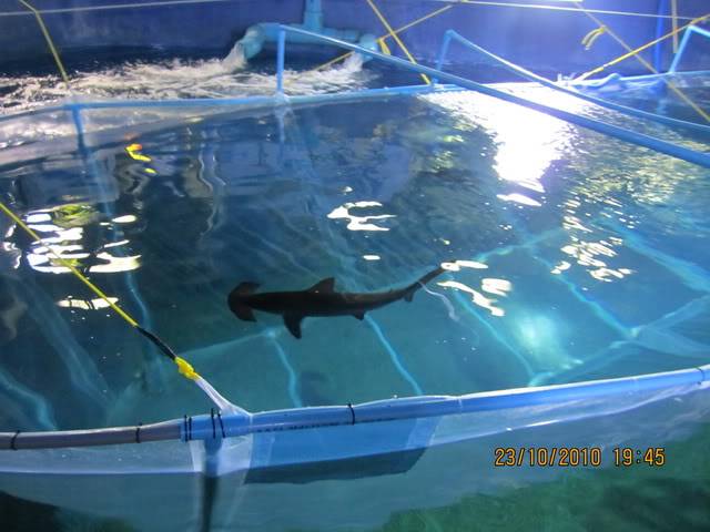 Picture077.jpg