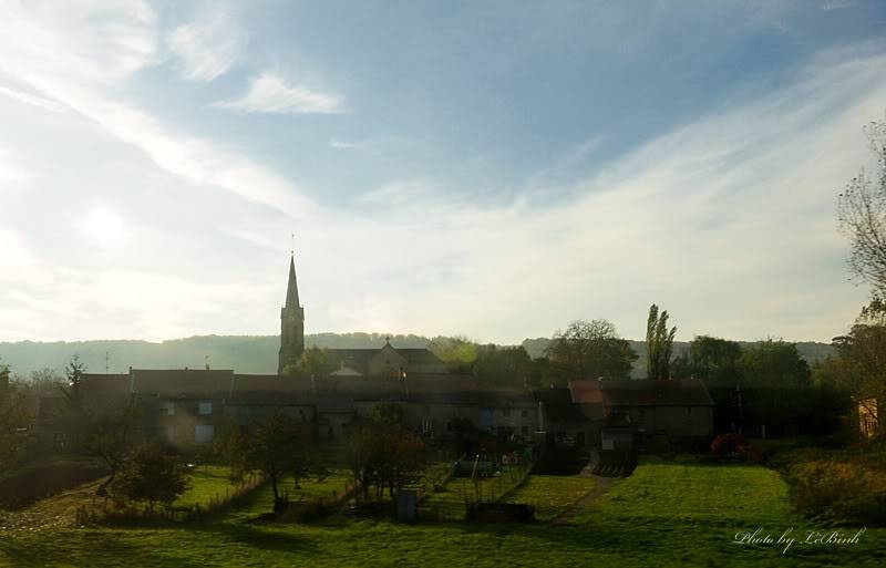 DSC_6375_7777.jpg