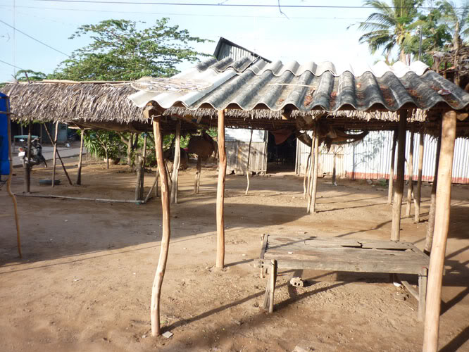P1330565.jpg
