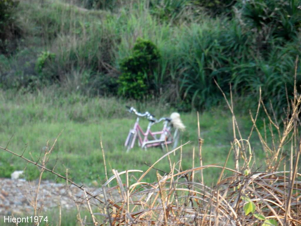 SAM_0154-1.jpg
