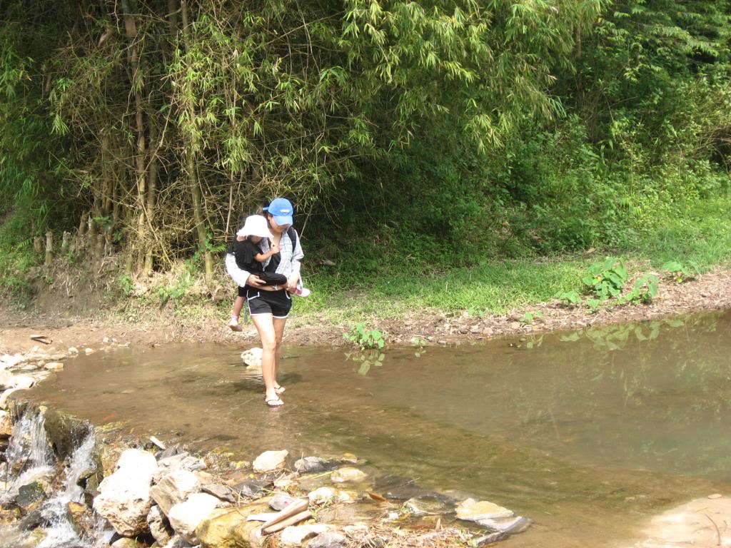 IMG_0527.jpg