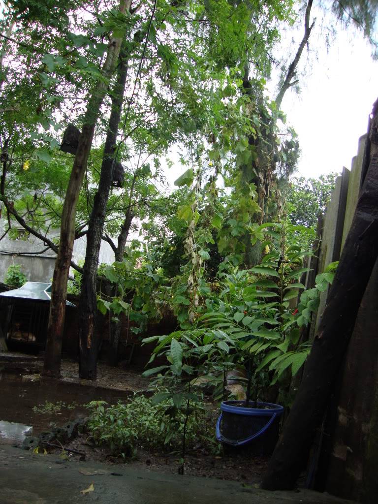 DSC00865.jpg