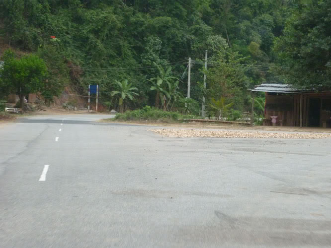 P1090411.jpg
