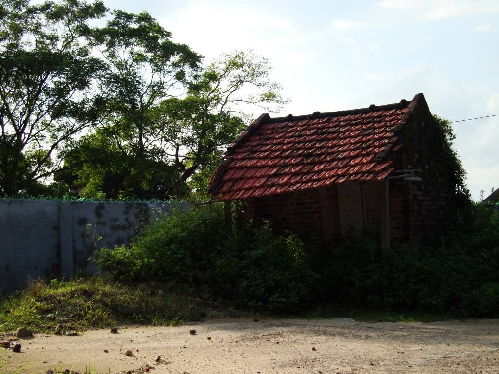DSC00832.jpg