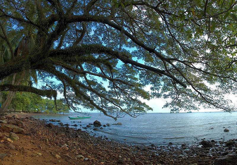 pano03b.jpg