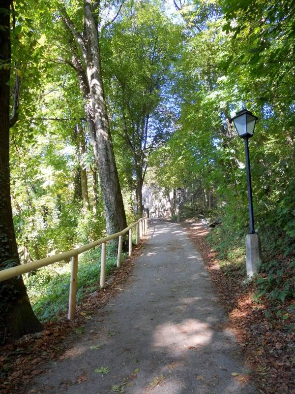 DSCN5499.jpg
