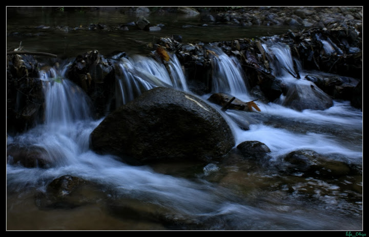 _MG_3971.JPG