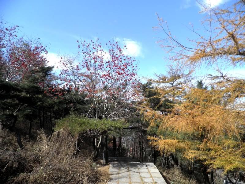 PA250145.jpg