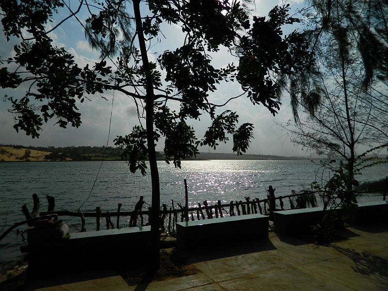 DSCN1984.jpg