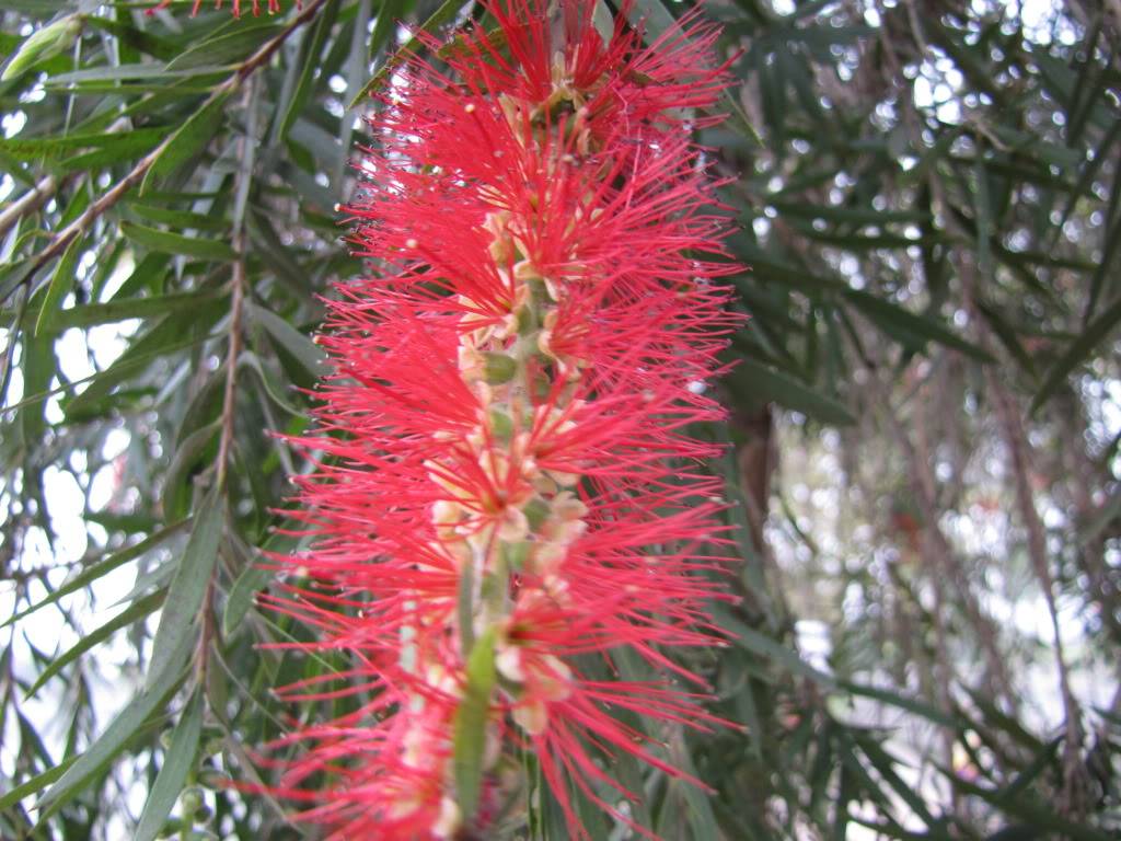 IMG_0542.jpg