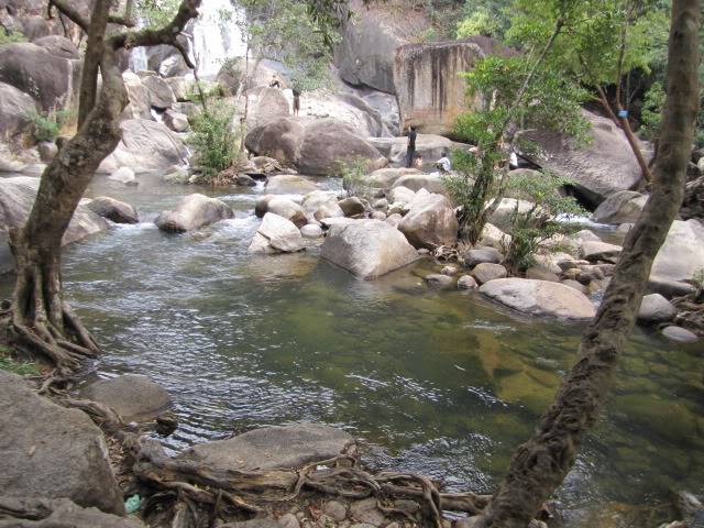 tnhlinh111.jpg