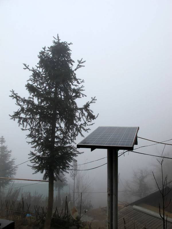 HongNgai2011480.jpg