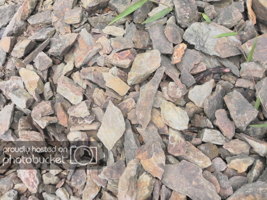 DSCN1180.jpg