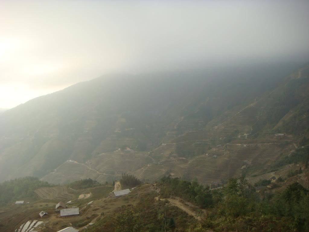 DSC06038.jpg