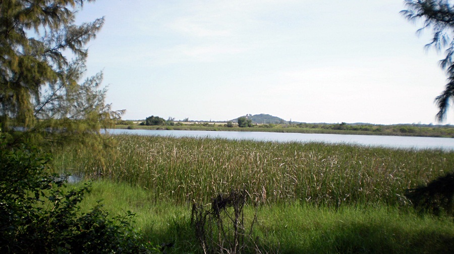 263_zps08629abf.jpg