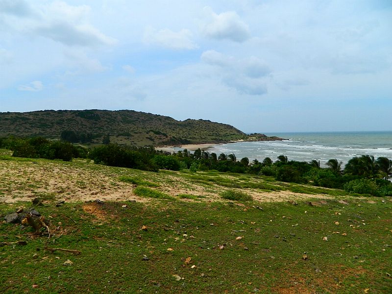 DSCN2166.jpg
