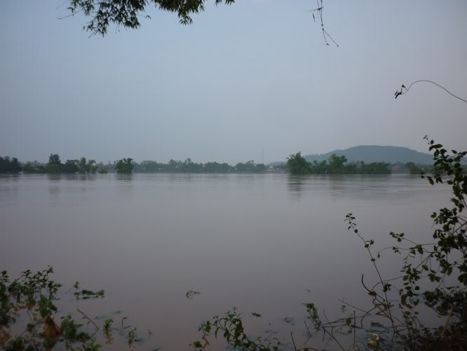 P1400248-1.jpg