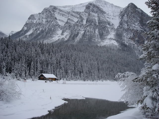 DSC06977.jpg