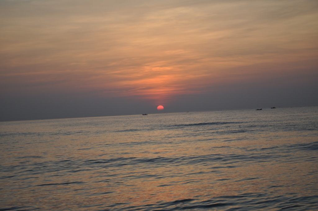 DSC_0401.jpg