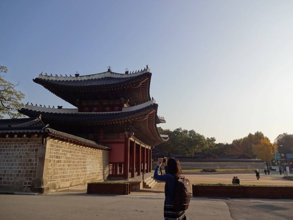 DSC00138.jpg