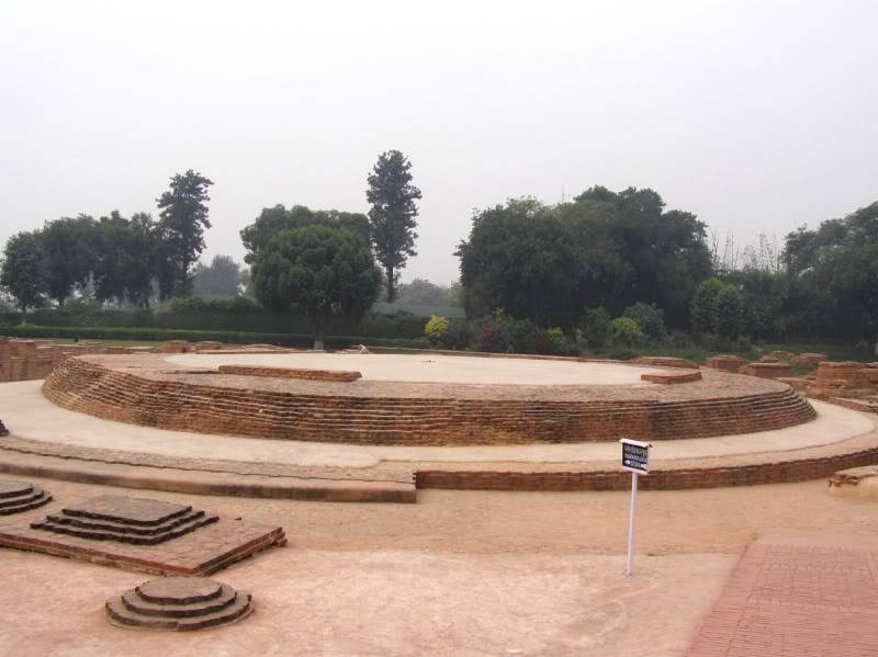 PB190978.jpg
