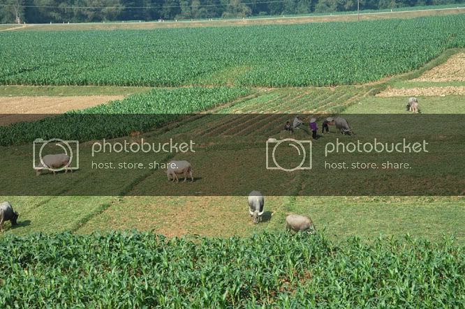 DSC_3672.jpg