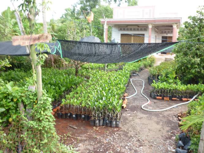 P1330926.jpg