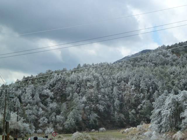 L1000610.jpg