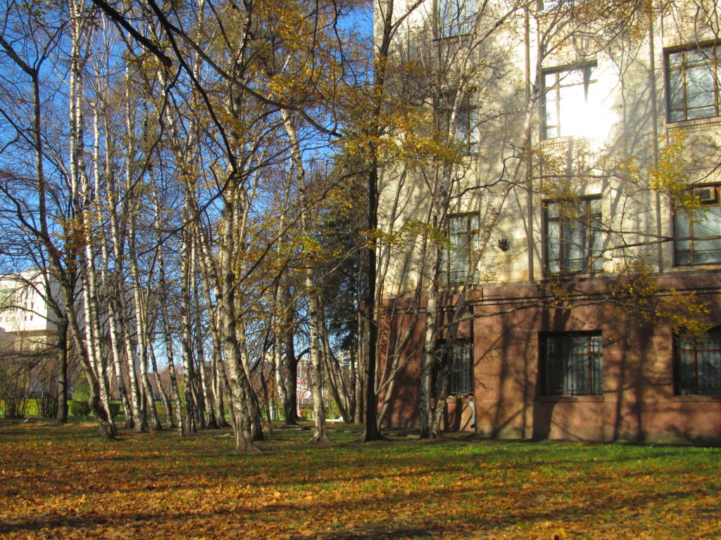 IMG_6681_zps26e42beb.jpg