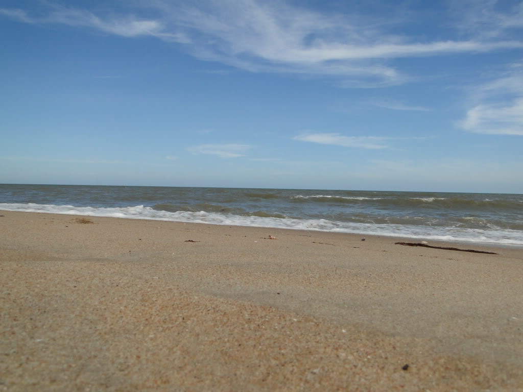 DSC04341.jpg