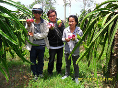 5908596131_42ebac027c_m.jpg