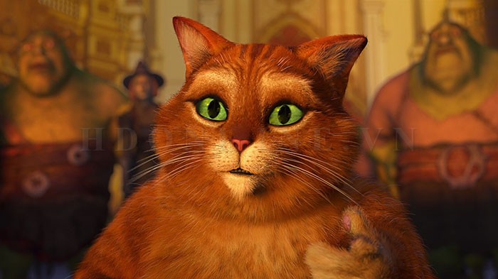chu-meo-di-hia-2011-screen-2.jpg