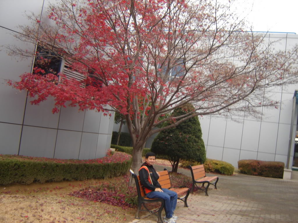 DSC08719.jpg