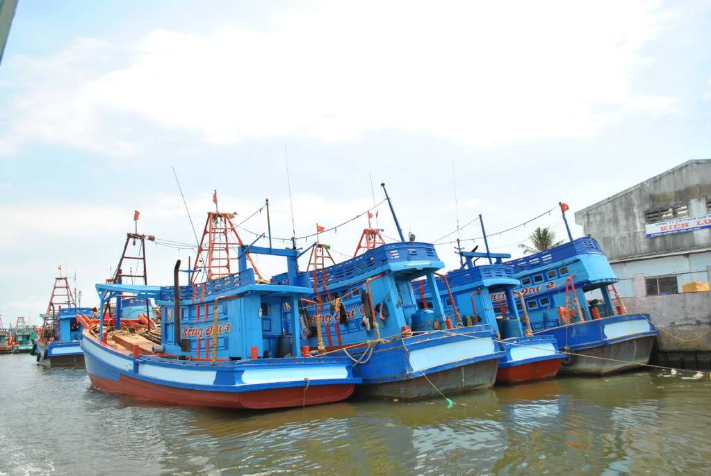 DSC_0033_resize.jpg