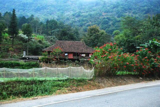 hoatrangnguyen.jpg