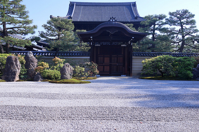36357156446_01070e95a1_z.jpg