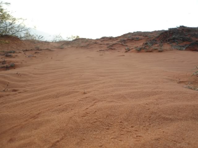 DSC02056.jpg