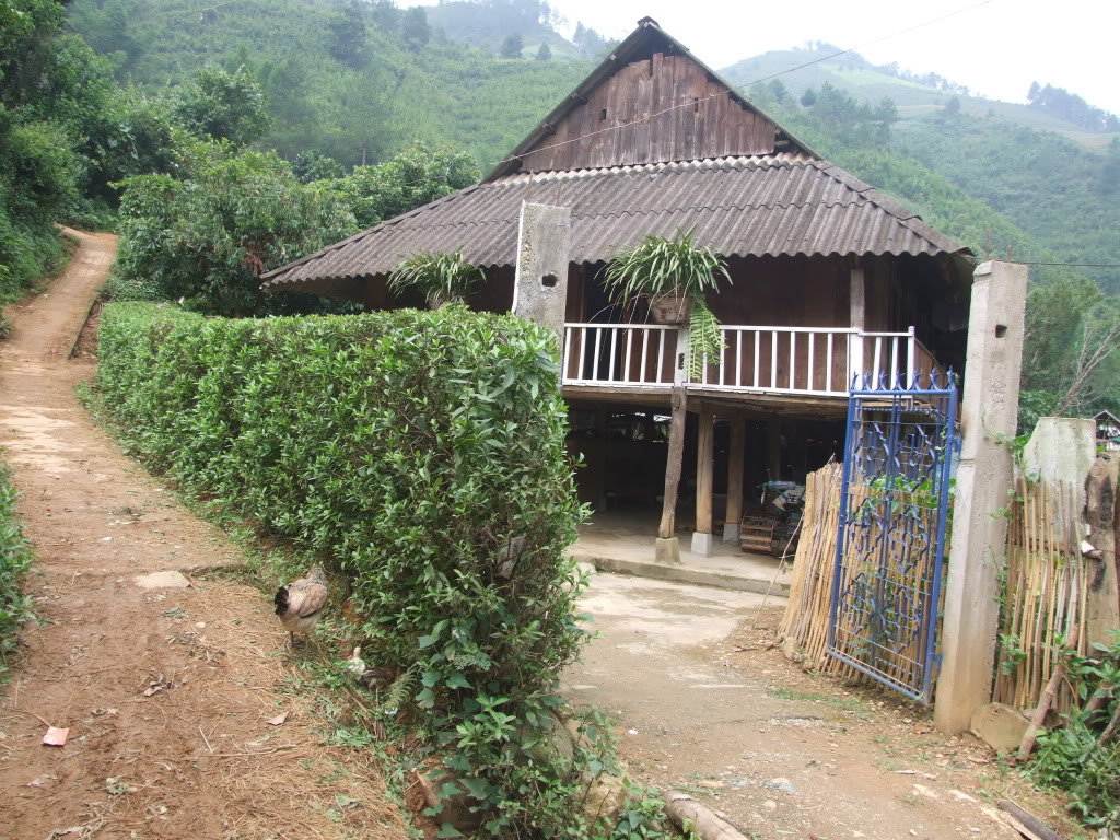 DSCF5796.jpg
