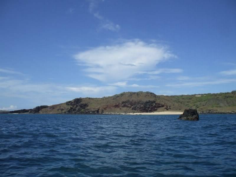 DSCF7553.jpg