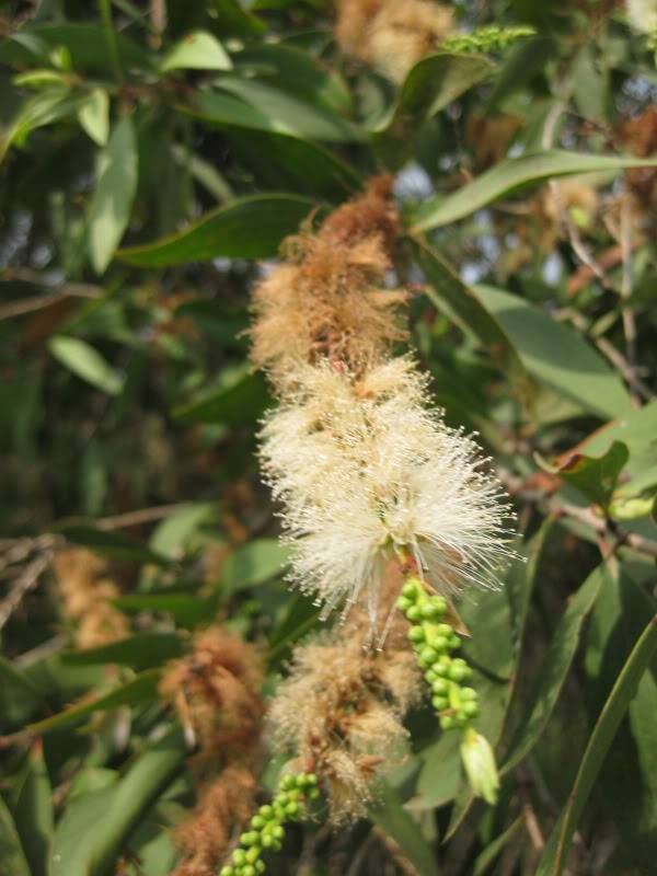 DongThapTET2011452.jpg