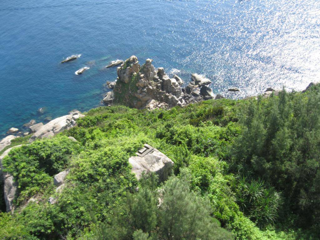 IMG_7014-1.jpg