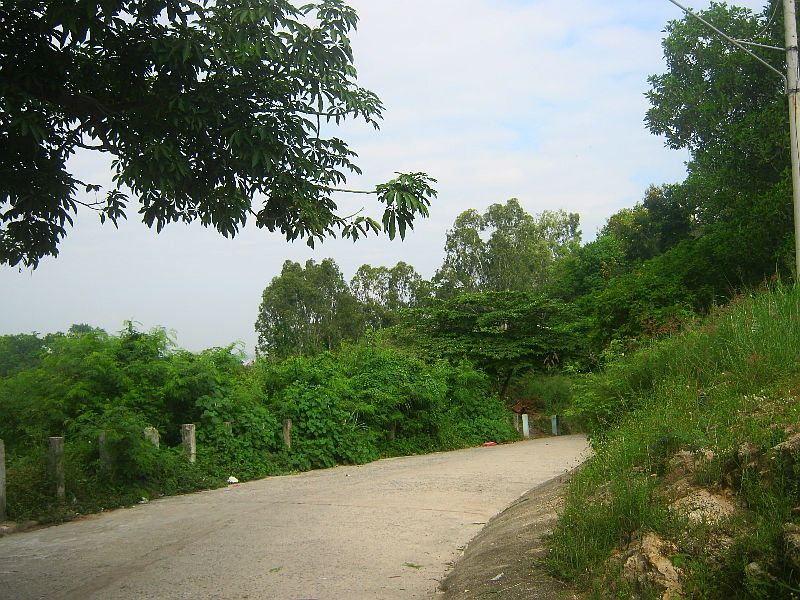 IMG_8866.jpg