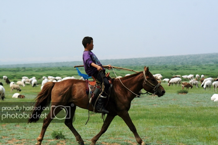 IMG_8307_zps9a8fe60f.jpg