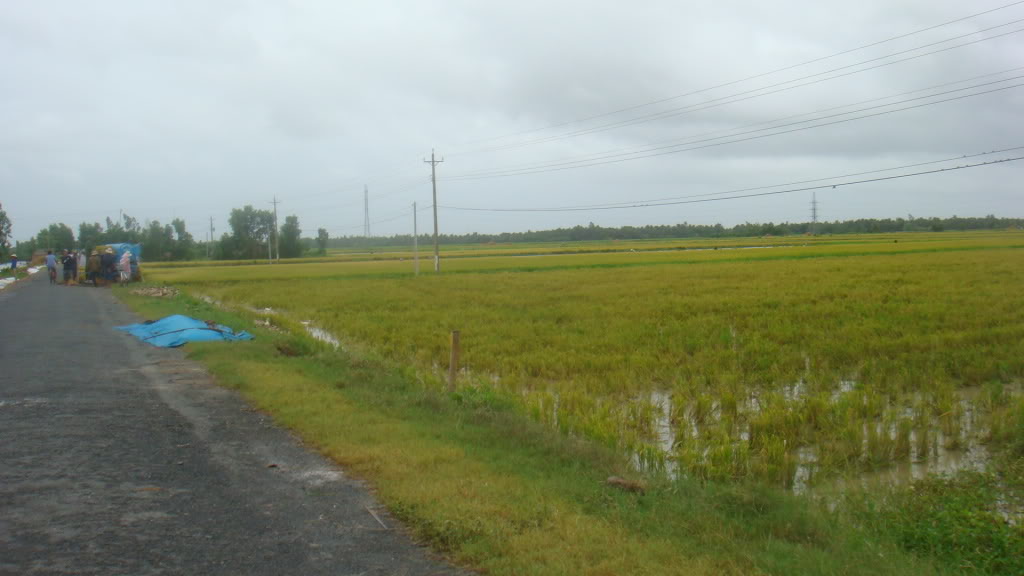 197.jpg