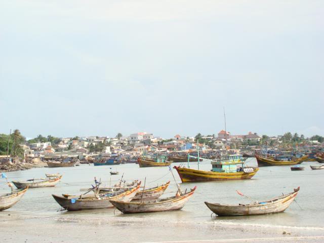 DSC00104.jpg