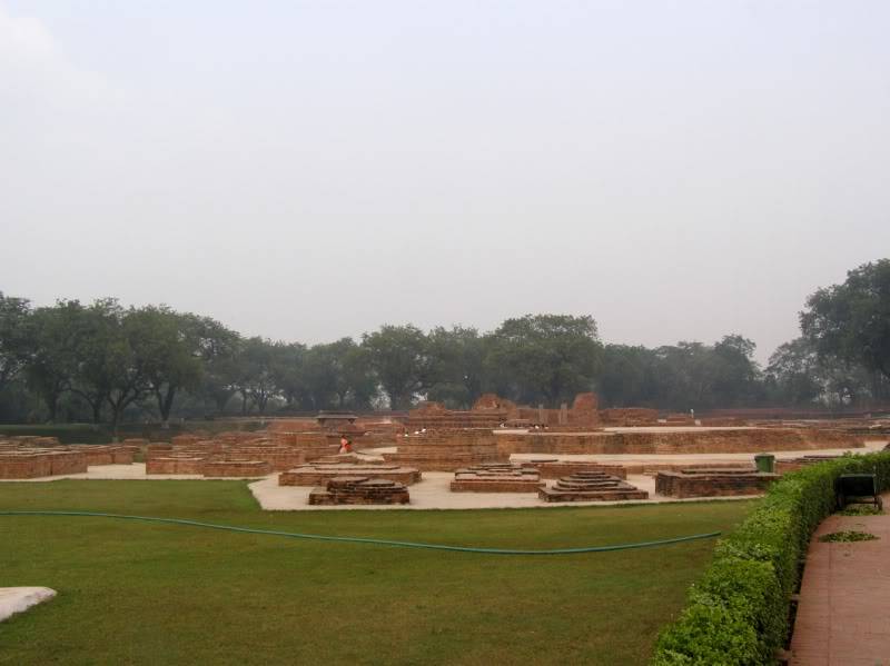 PB190977.jpg