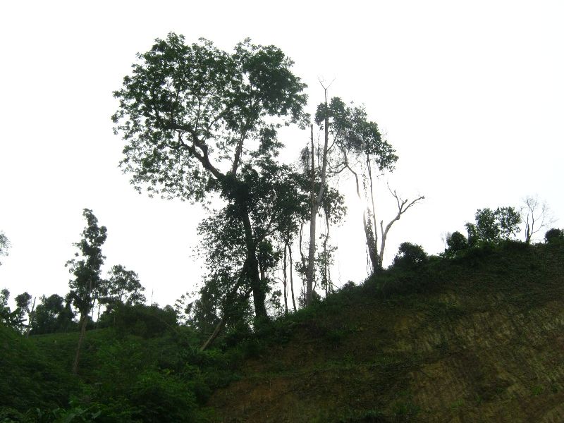 IMG_6844.jpg