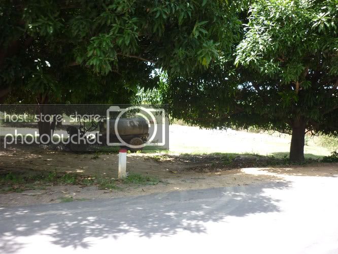 P1370490.jpg