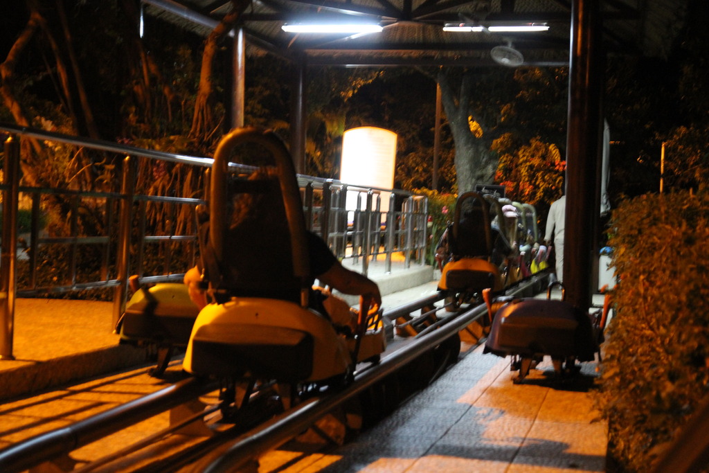 IMG_1891_zpshjkma22x.jpg